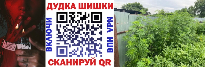 A-PVP Весьегонск