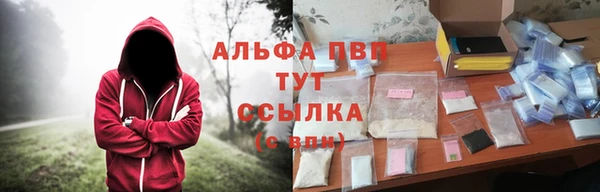 индика Абдулино