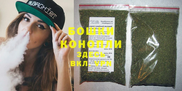 индика Абдулино