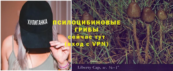 дживик Алексин