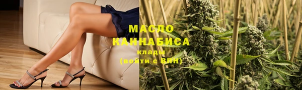 индика Абдулино