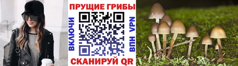 Псилоцибиновые грибы Magic Shrooms  Весьегонск 